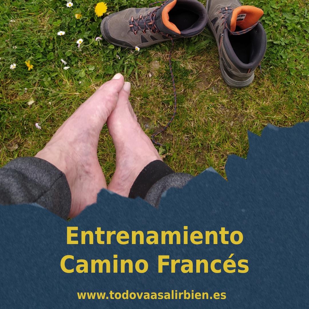 preparando camino francés